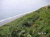 s_PICT0551_thumb.png